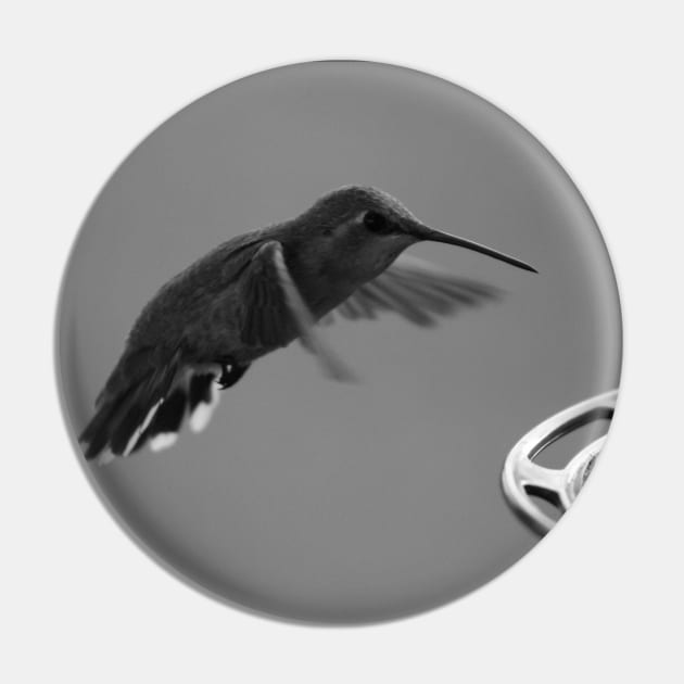 Hummingbird at Feeder Black and White 1 or 3 Pin by ButterflyInTheAttic