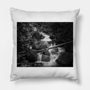 Forest Stream Pillow