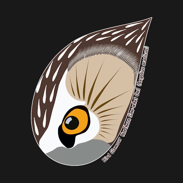 Northern Saw-whet Owl (Small Text) by BirdGlamour