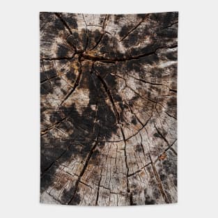 Chopped Tree Trunk Inner Rings Tapestry