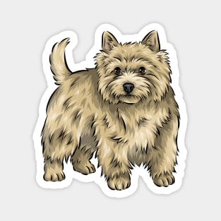 Cute Norwich Terrier Dog Magnet