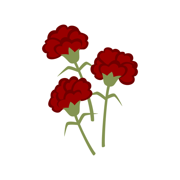 Carnations by soniapascual