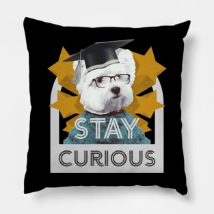 Stay Curious! Pillow