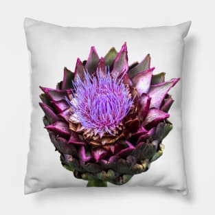 artichoke Pillow