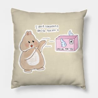 Rabbit send gift for you _ Bunniesmee Pillow