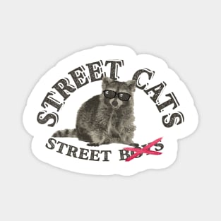 Street Cat Vintage Magnet