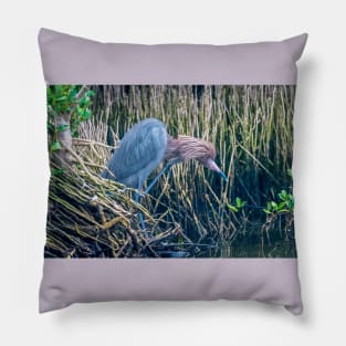 Shaggy Headed Reddish Egret Pillow