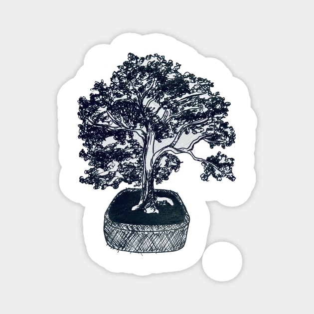 chinese elm Magnet by dreamtravel