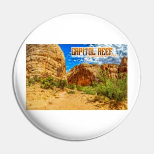 Capitol Reef National Park Pin