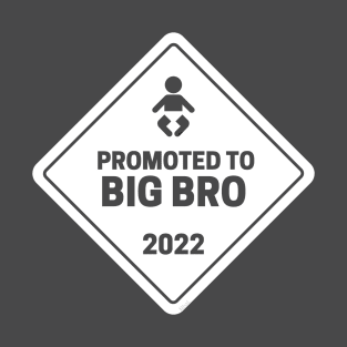 Promoted to Big Brother Baby Announcement T-Shirt