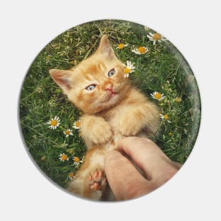 petting an orange kitten Pin