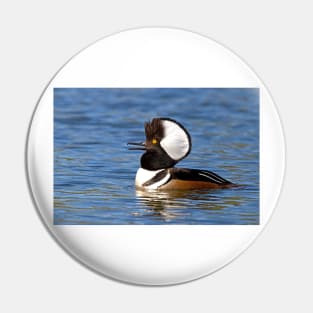 Hooded Merganser Pin