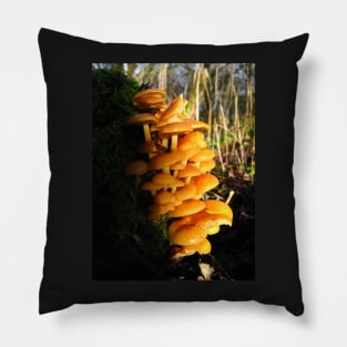 Mushroom World Pillow