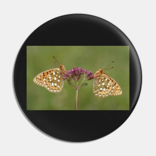 Two Dark Green Fritillary Butterflies on a Wild Marjoram Flower Pin