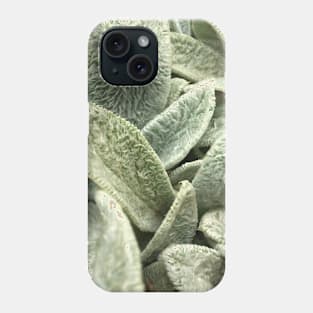 plant sheep ears in the garden Phone Case