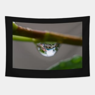 Raindrop mood clear Tapestry