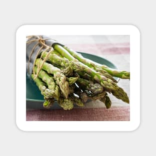 Asparagus Magnet