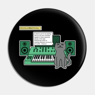Cat on Music Studio Desk with Analogue Synthesizer Pin