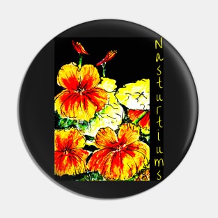 Nasturtiums on Black no Happy Birthday Pin