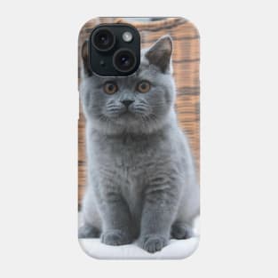 the blue chubby cute cats Phone Case