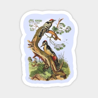 WOODPECKERS Magnet