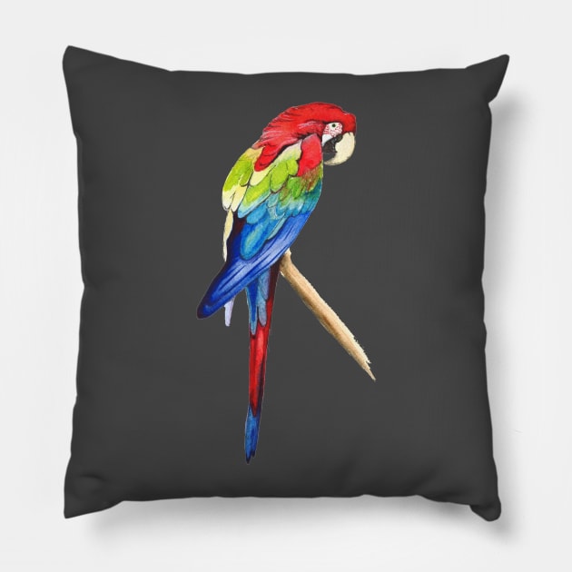 Parrot Pillow by Bridgetdav