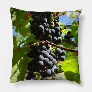 A bunch of black grapes under the blue sky Pillow