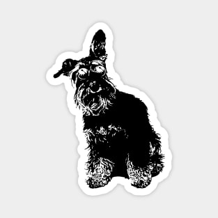 Dog, Animals, Pet, Sunglasses, Adorable, Dog Fashion, Funny, Cute, Schnauzer, Canine, Mammal Magnet