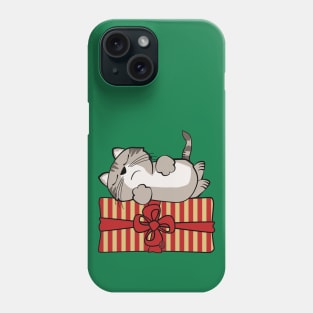 Cat on Gift Package Phone Case