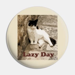 Lazy Day Pin