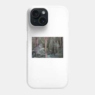 Tall, bare tree trunks. Phone Case