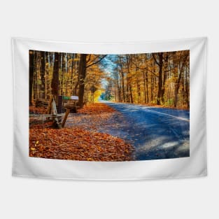 Fall Road 4 Tapestry