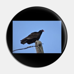 Turkey Vulture Pin