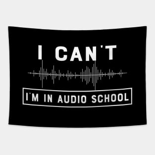 Audio School Student - I can't I'm in audio school Tapestry