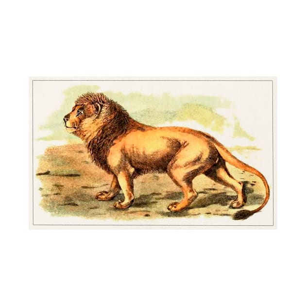 Lion Illustration by WAITE-SMITH VINTAGE ART