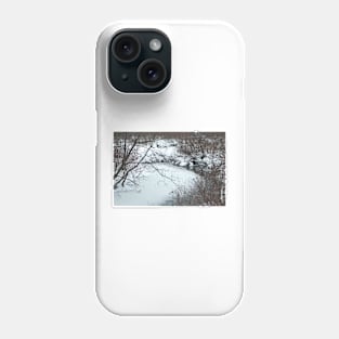 Winter Freeze Phone Case