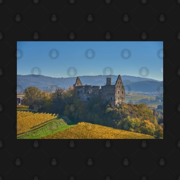 Burkheim, Kaiserstuhl - another view of the castle by mbangert