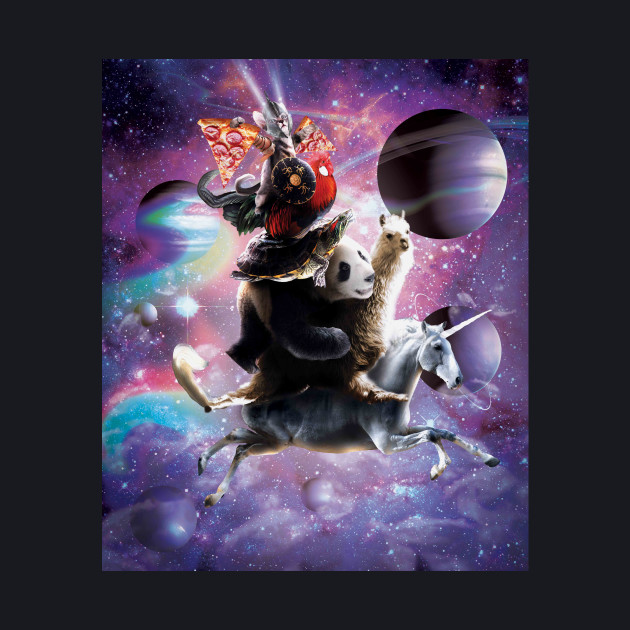 cat riding chicken shirt