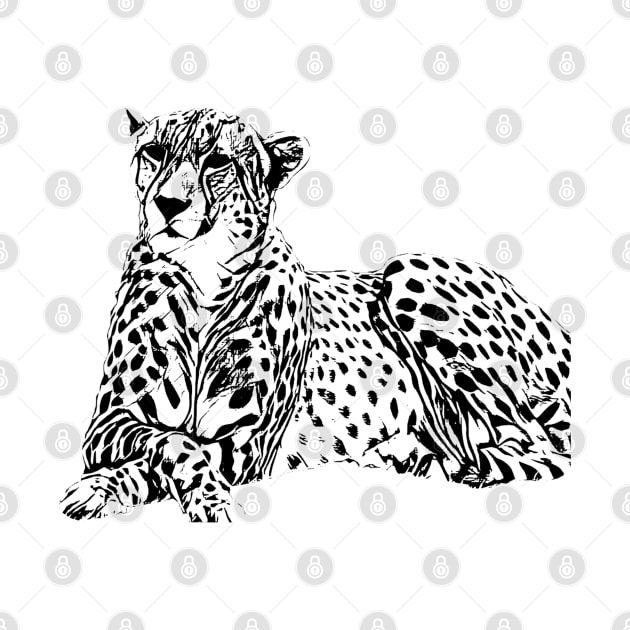 Cheetah by Nimmersatt
