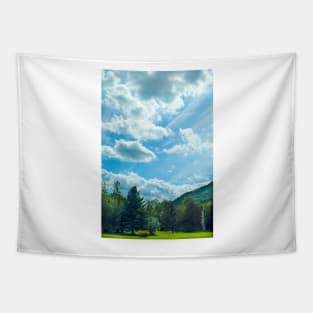 Unsettled Skies Tapestry