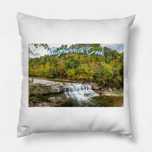 Taughannock Creek Tompkins County New York Pillow