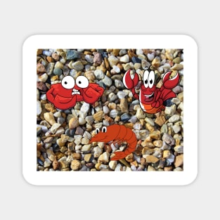 scree  and the sea creatures Magnet
