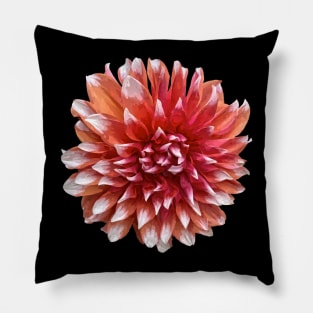 Pretty Red Dahlia Botanical Bee Flower Annual Garden Pillow