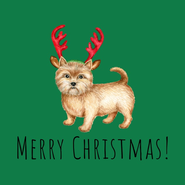 Cute Norwich terrier , Christmas dog by Simple Wishes Art