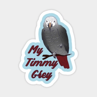 Timneh African Grey Parrot Timmy Magnet