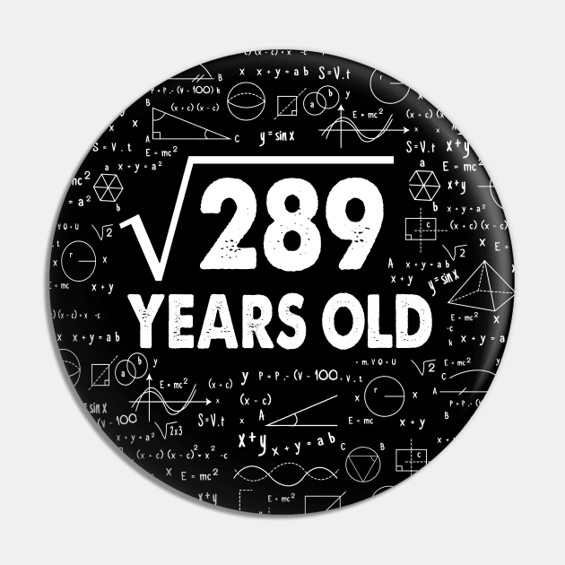 17 years old 17th birthday Gift Square Root of 289 Science Lover Gifts Bday Pin by smtworld