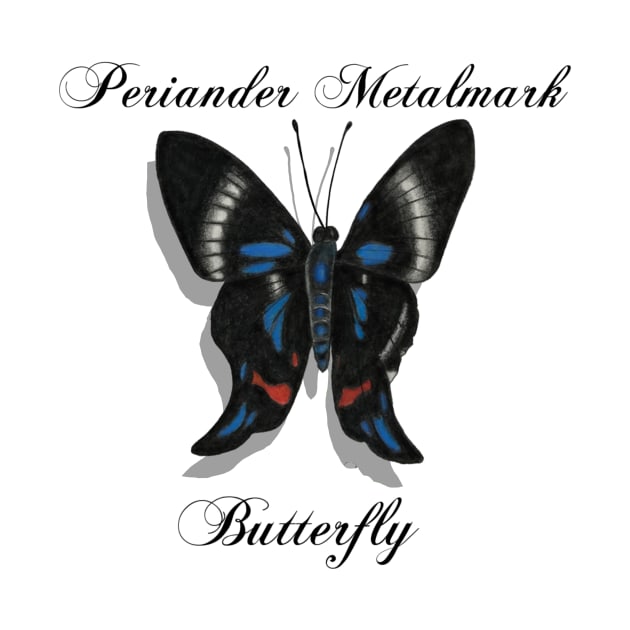 Periander Metalmark Butterfly Labeled by ArtAndBliss