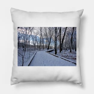 Winter Pillow