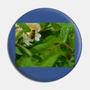 The Pollinator Pin