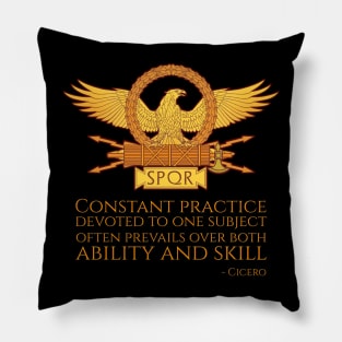 Constant practice devoted to one subject often prevails over both ability and skill Pillow